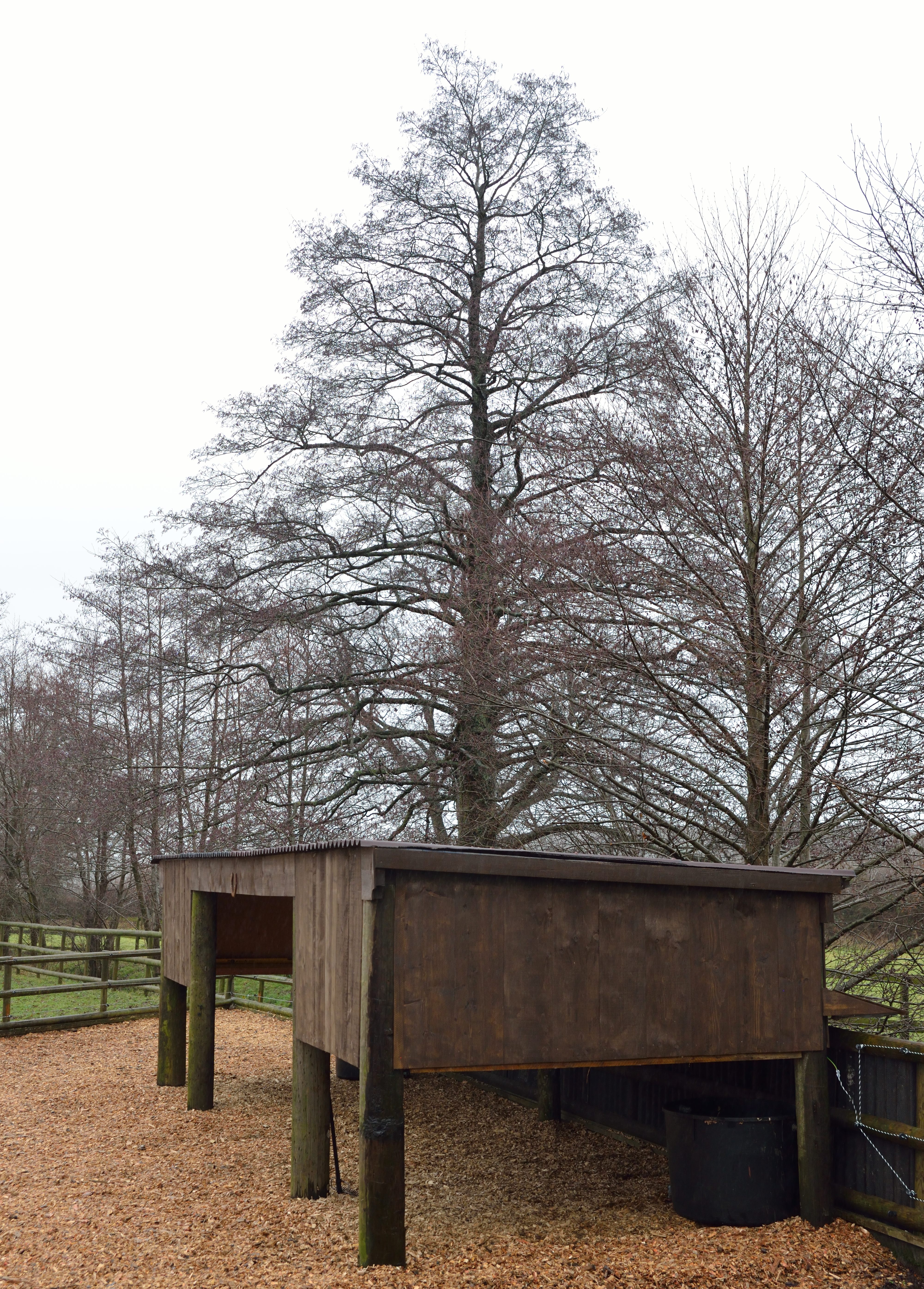 Facilities Little Brook Equestrian